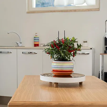 A Casarella In Piazzetta Apartment *