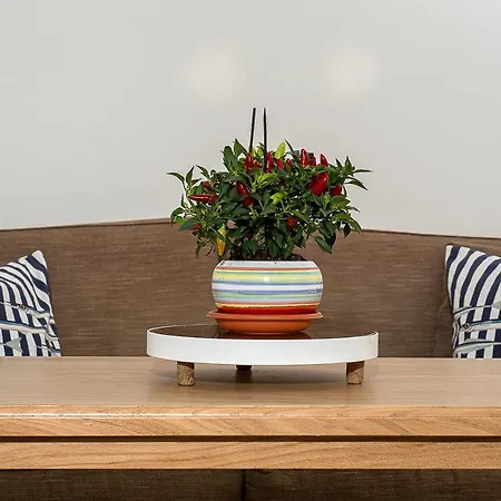 Lejlighed A Casarella In Piazzetta